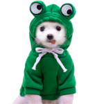 starzxdustyy clothing