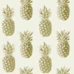 Party Pineapples!!!