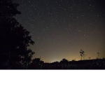 NightTimeFallz