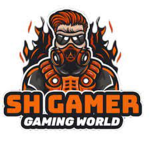 ShGamer Boy fan group