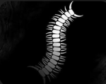 Wormわ