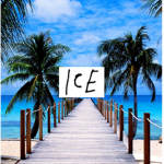 The Official Ice Group!