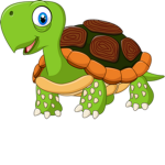 The Official Lazy Turtle Club