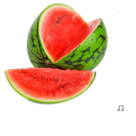 Melounci