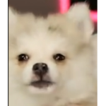 The darkness is spreading