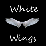 [Pilot Training Flight Simulator] White Wings