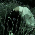 C0NFLICTI0NS