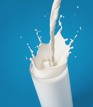 Milkie Wilkie