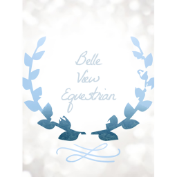 Belle View Equestrian