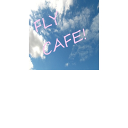 Fly Cafe Interview Centre!