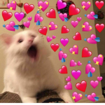 Galletitas uWu e corazon