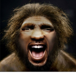 The Cheese Squad 2.0