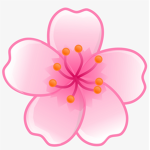 AMAI SAKURA AGENTCY AGENTCY