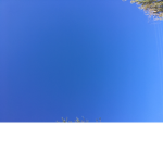 ddeca