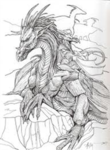Black Dragons (D.B) HIGH RANKS