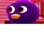 Shadow Sisters Yt