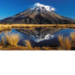 NEW ZEALAND AND AND PACIFIC ISLANDS