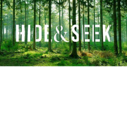 Hide and Seek in a castle