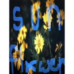 Supa Sunflower Squad <3