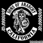 SeeNz Y Anarchy