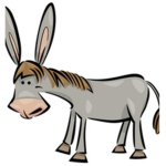 DonkeyDoodleGroup