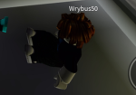 Wrybus Cult | The Log Conspiracy