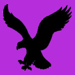 Shadow Eagle Studios