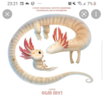 Axolotl club bc I want to