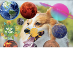 Earth Protectors Unite