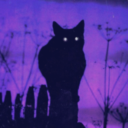 𝖜𝖍𝖊𝖓