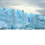 ICE MEMBER