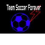 Team Soccer Forever!