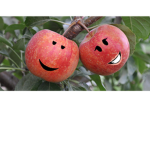 Good Applez