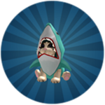 THE JAWS AND PAWS