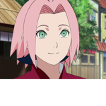 SAKURA4212