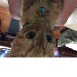 Chill & calm