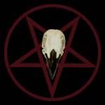 [The Church Of Penguin]