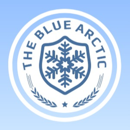 Remnants Of The Arctic