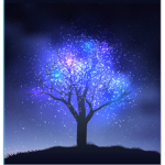 Enchanted Midnight