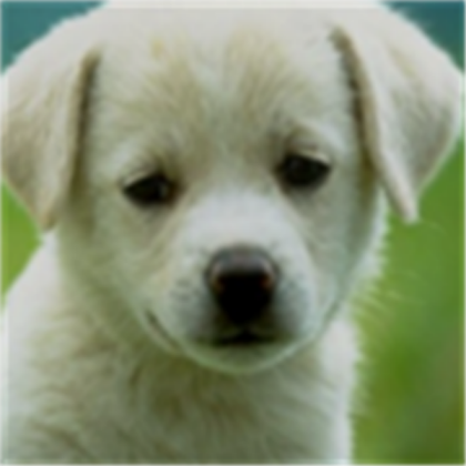 dog Roblox decal