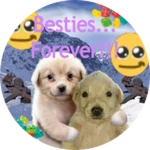 Besties For Life