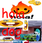 hola dog