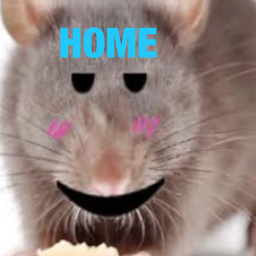 Home | The Elite Rat Battalion