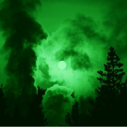 💚