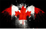 Canada U.S border RP.