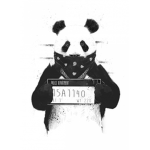 panda expresssssssssssssssssssssss