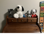 THE SNOOPY CLUB