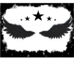 The Crimson feather Pirates