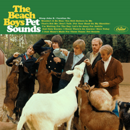 The Beach Boys Concert