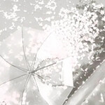 ˚ . ・ 🌸 ・ . ˚ 🪽 ♡